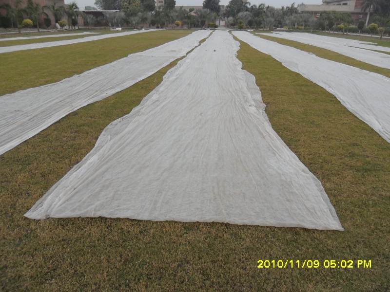 Agricultrual Nonwoven Fabric