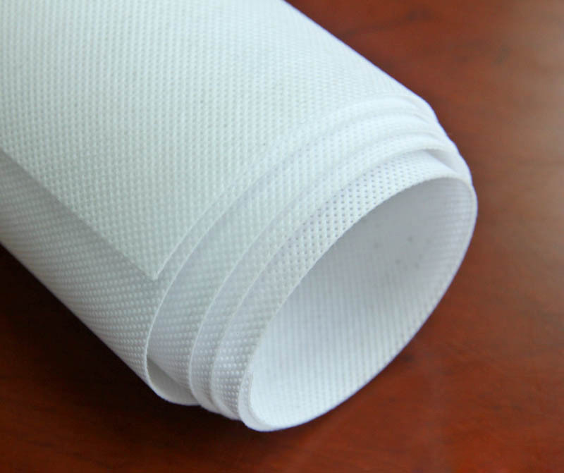PP Nonwoven Fabric