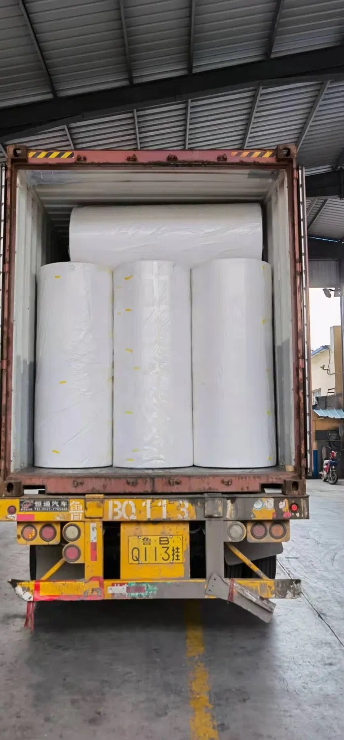 PP Spunbound Nonwoven Fabric